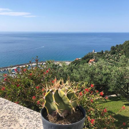 Villa Degli Ulivi B&B 피날레리구레 외부 사진