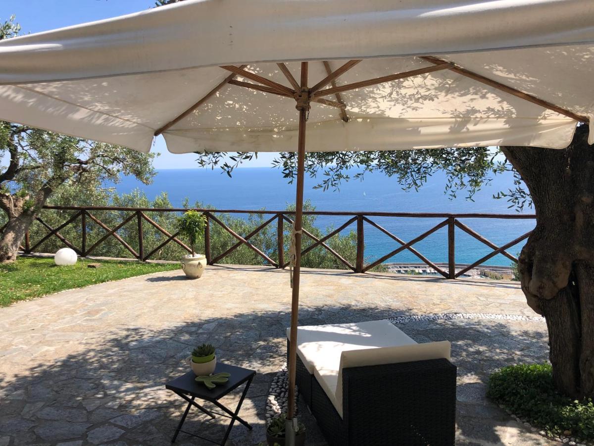 Villa Degli Ulivi B&B 피날레리구레 외부 사진